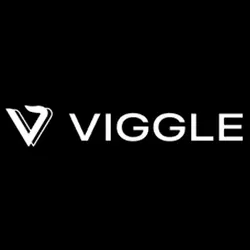 Viggle Ai Pro/Live Plan 1 month Subscription To Your Account