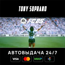 EA SPORTS FC 25 Выбор Стран Авто-Доставка 24/7