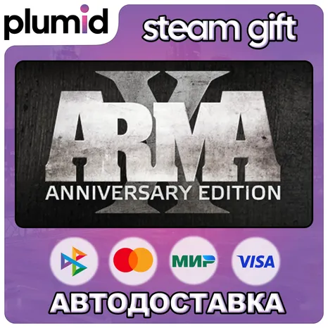 Arma X: Anniversary Edition Steam Gift / Россия + МИР / АВТО