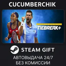 TIEBREAK+ Ace Edition STEAM GIFT AUTO RU+МИР