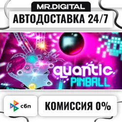 Quantic Pinball STEAM АВТОВЫДАЧА 24/7