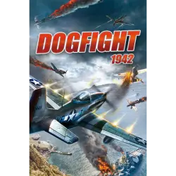DOGFIGHT 1942 REGION FREE STEAM
