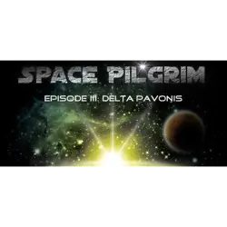 SPACE PILGRIM EPISODE III DELTA PAVONIS RU CIS STEAM Ключ