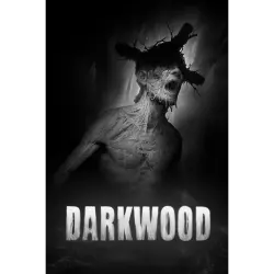 DARKWOOD RU CIS STEAM Ключ