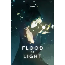 FLOOD OF LIGHT REGION FREE STEAM Ключ