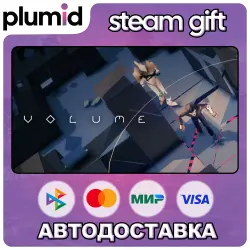 Volume Steam Gift / Россия + МИР / АВТО