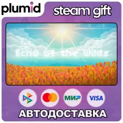Echo of the Wilds Steam Gift / Россия + МИР / АВТО