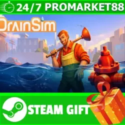 ВСЕ СТРАНЫ+РОССИЯ DrainSim STEAM GIFT