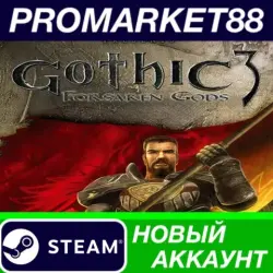 Gothic 3: Forsaken Gods Enhanced Edition Steam АККАУНТ