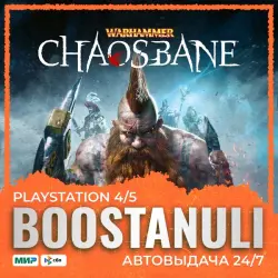 Warhammer: Chaosbane (PS4/PS5) — на ваш аккаунт PlayStation