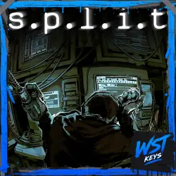 s.p.l.i.t • Ключ Steam (Россия, СНГ, Мир | Автовыдача API)
