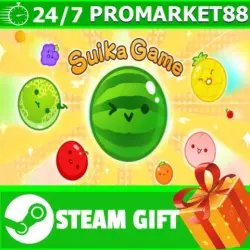 ВСЕ СТРАНЫ+РОССИЯ スイカゲーム STEAM GIFT