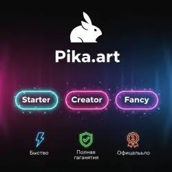 Pika.art STANDARD/PRO/FANSY 1-12M | Обновление/продление | Г.арантия