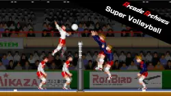 (Nintendo Switch 1) Arcade Archives Super Volleyball