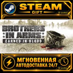 Brothers in Arms: Earned in Blood · STEAM GIFT · АВТОДОСТАВКА