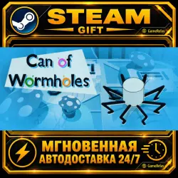 Can of Wormholes · STEAM GIFT · АВТОДОСТАВКА