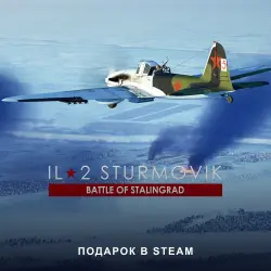 IL-2 Sturmovik: Battle of Stalingrad (Steam Gift) · РФ и мир · Автовыдача 24/7