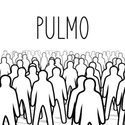 PULMO PS4 Укр. UA/Турция