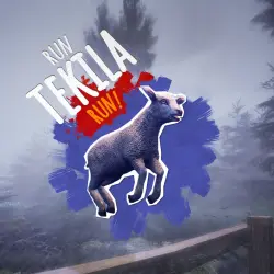 Run Tekila Run! PS4 Укр. UA/Турция -6