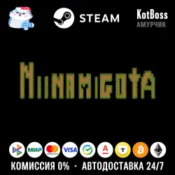 Россия + Мир | Niinamigota | Ключ | Steam