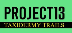 Project 13: Taxidermy Trails АВТОДОСТАВКА STEAM GLOBAL МГНОВЕННО ЛИЦЕНЗИЯ