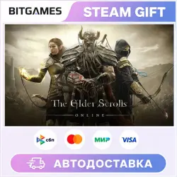 The Elder Scrolls Online Standard Edition | РФ + МИР | АВТО