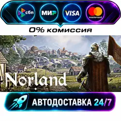 Norland STEAM RU + МИР АВТОВЫДАЧА 24/7