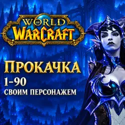WoW Midnight: прокачка 1–90 · своим персонажем