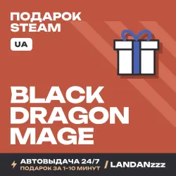 Black Dragon Mage | Подарок Steam | Укр. UA | Автодоставка 24/7