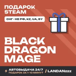 Black Dragon Mage | Подарок Steam | СНГ (не РФ, KZ, UA, BY) | Автодоставка 24/7