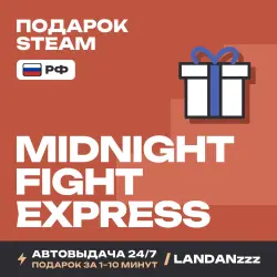 Midnight Fight Express | Подарок Steam | РФ | Автодоставка 24/7