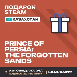 Prince of Persia: The Forgotten Sands | Подарок Steam | Казахстан | Автодоставка 24/7