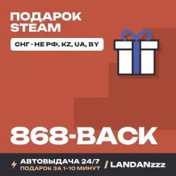 868-BACK | Подарок Steam | СНГ (не РФ, KZ, UA, BY) | Автодоставка 24/7