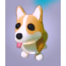 Corgi | ADM | Adopt Me