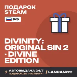 Divinity: Original Sin 2 - Divine Edition | Подарок Steam | РФ | Автодоставка 24/7