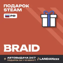 Braid | Подарок Steam | РФ | Автодоставка 24/7