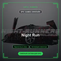 Night Run — EPIC GAMES ОФФЛАЙН аккаунт | Одиночная игра