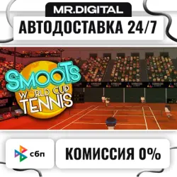 Smoots World Cup Tennis STEAM АВТОВЫДАЧА 24/7