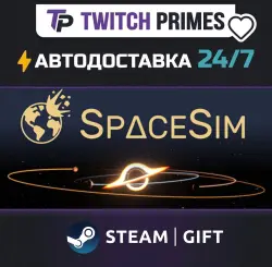 Ru+СНГ+Китай "SpaceSim" Steam Gift автовыдача 24/7