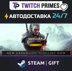 Ru+СНГ+Китай "The Witcher Trilogy" Steam Gift автовыдача 24/7
