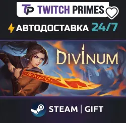 Ru+СНГ+Китай "Divinum" Steam Gift автовыдача 24/7