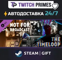 Ru+СНГ+Китай "DLC Not For Broadcast: The Timeloop" Steam Gift автовыдача 24/7