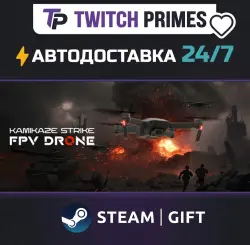 Ru+СНГ+Китай "Kamikaze Strike: FPV Drone" Steam Gift автовыдача 24/7