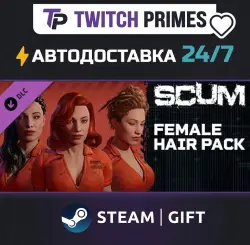 Ru+СНГ+Китай "DLC SCUM Hair Deluxe 1" Steam Gift автовыдача 24/7