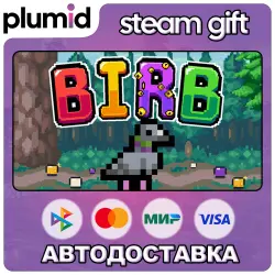 Birb Steam Gift / Россия + МИР / АВТО
