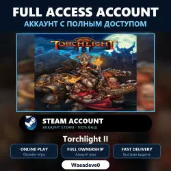 Torchlight II - аккаунт Steam с ПОЛНЫМ ДОСТУПОМ | Аккаунт ваш | Онлайн