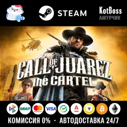 Ключ | РФ + СНГ | Call of Juarez: The Cartel - Standard Edition | Steam