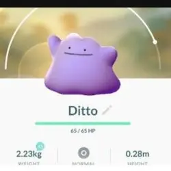 catching a ditto (Предмет) | Pokemon GO