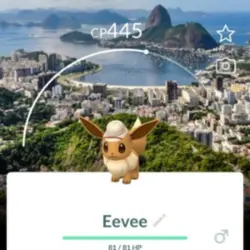 Eevee Safari Hat Brazil Rio Background $1.99 unit Eevee (Предмет) | Pokemon GO