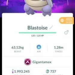 Gmax blastoise special background (Предмет) | Pokemon GO
